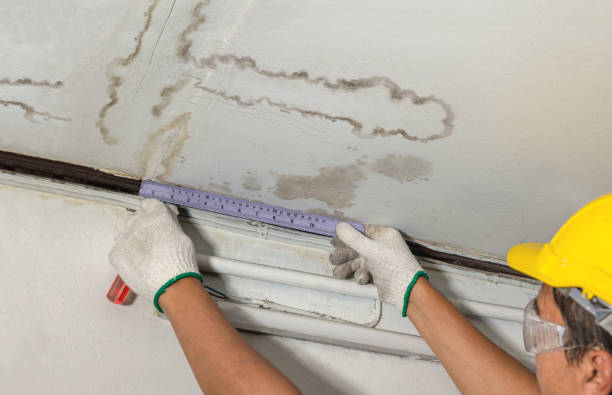 Reliable Water Damage contractor in Pikeville, KY by Water Damage Irwin